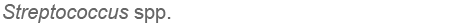 strept